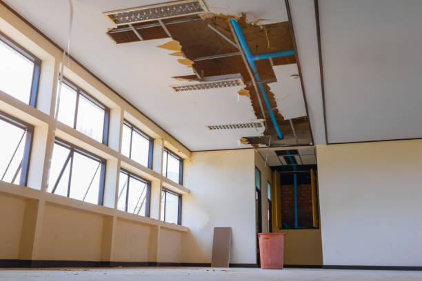 Best Flood restoration services  in Franklin, PA