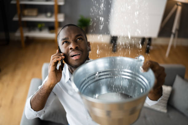 Best Local water damage restoration  in Franklin, PA