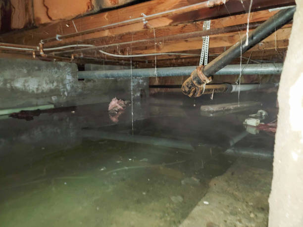 Best Ceiling water damage repair  in Franklin, PA