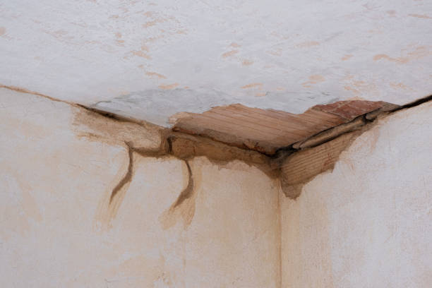 Best Residential water damage restoration  in Franklin, PA