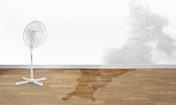 Best Commercial water damage restoration  in Franklin, PA