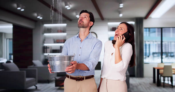 Best Flood restoration services  in Franklin, PA