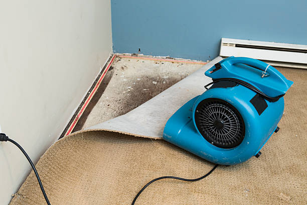 Best Flooded house restoration  in Franklin, PA